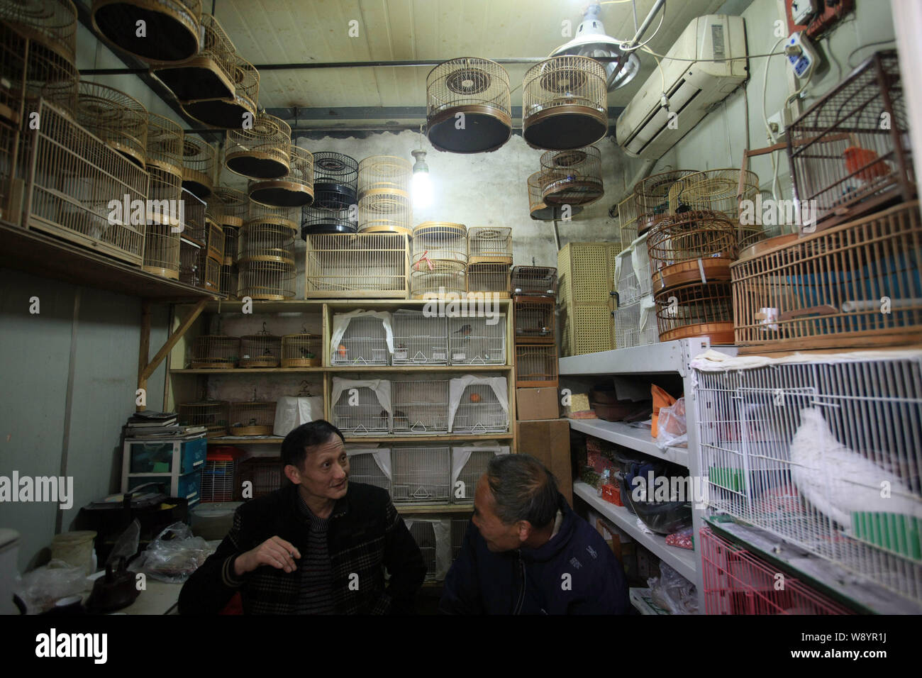A vendor talks with a customer in his bird shop at the Wanshang Flower and Bird Market in Shanghai, China, 19 March 2014. Stock Photo