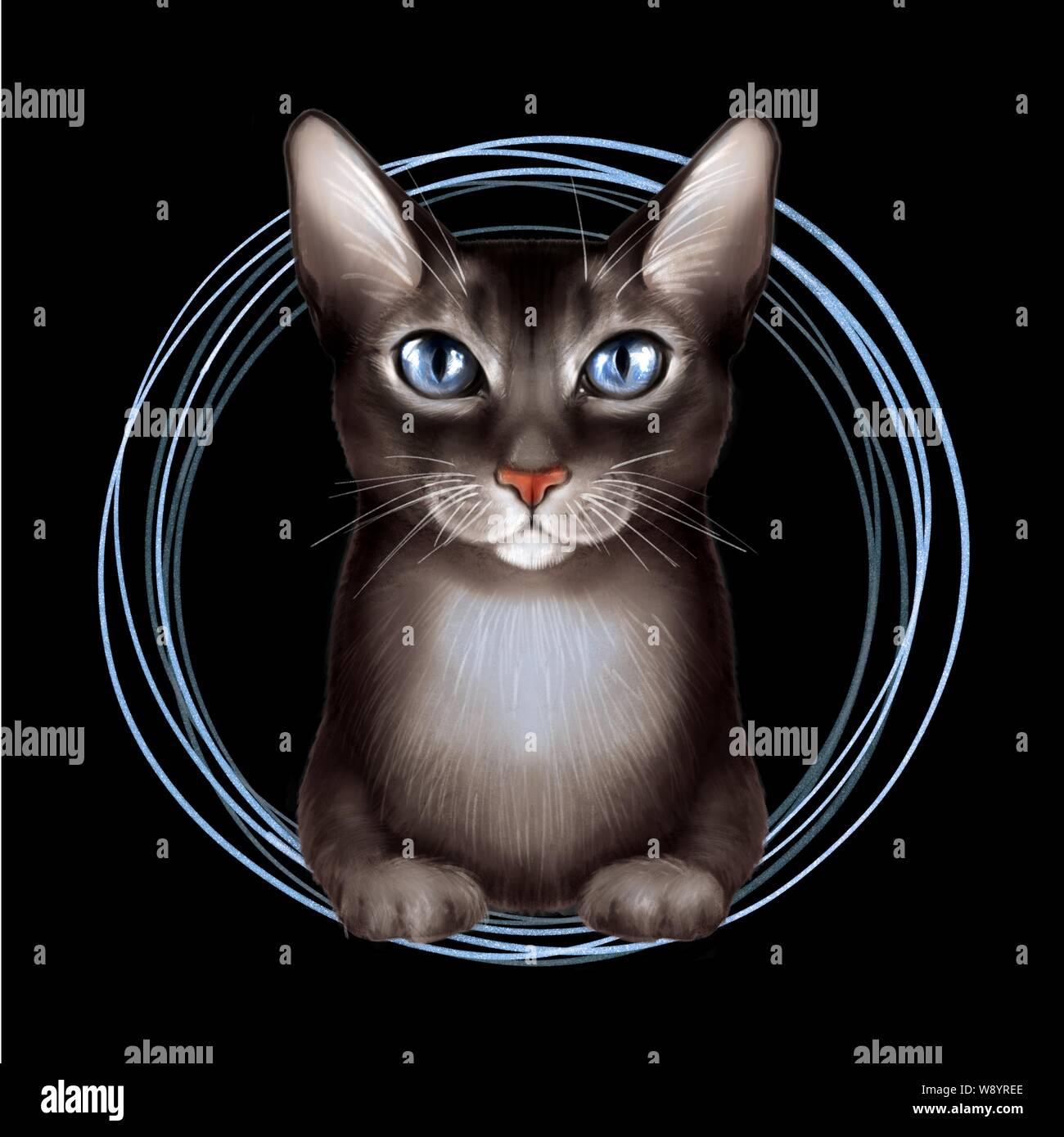 Black cat on black background Stock Photo Alamy