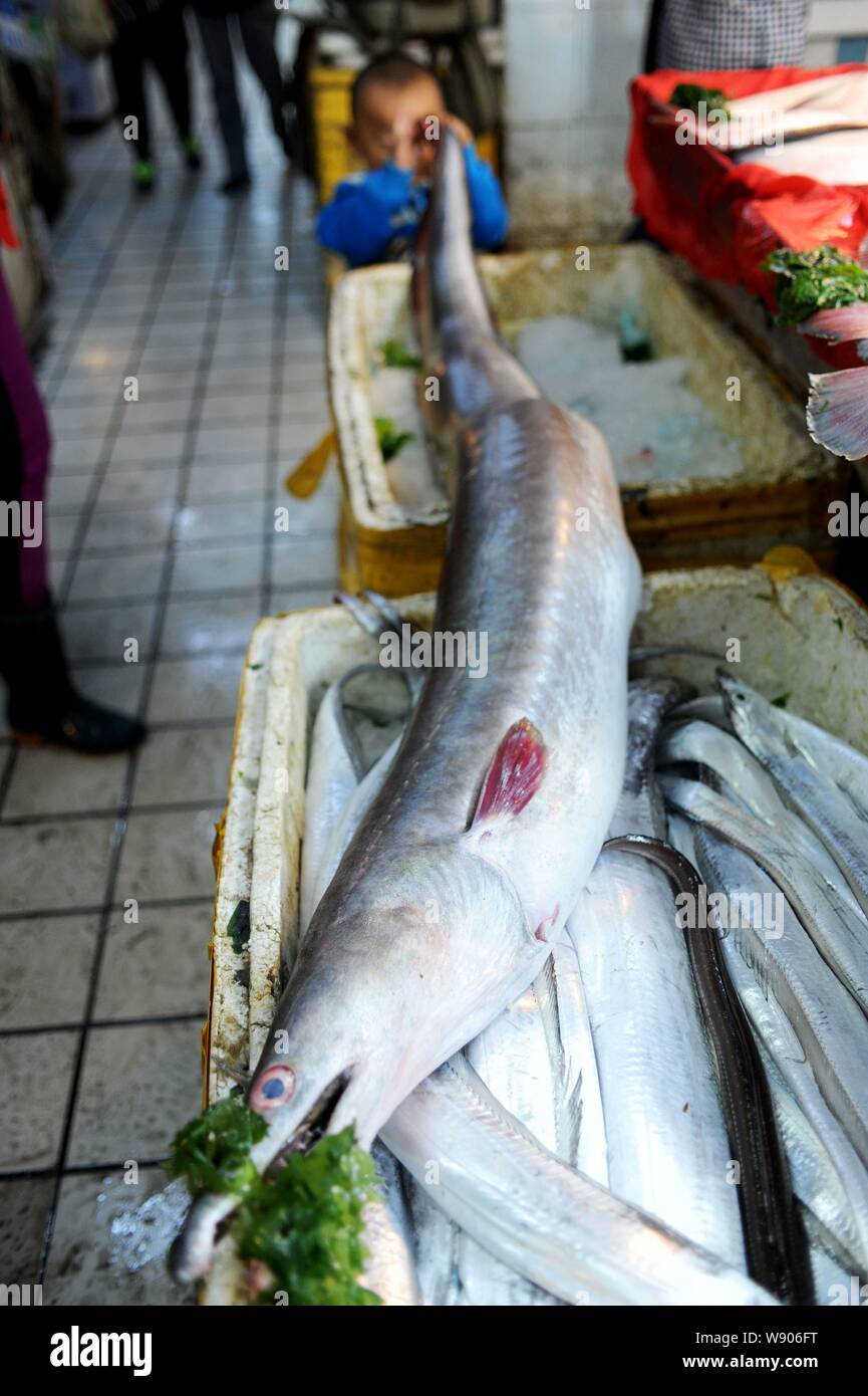 Fishtail s hi-res stock photography and images - Alamy
