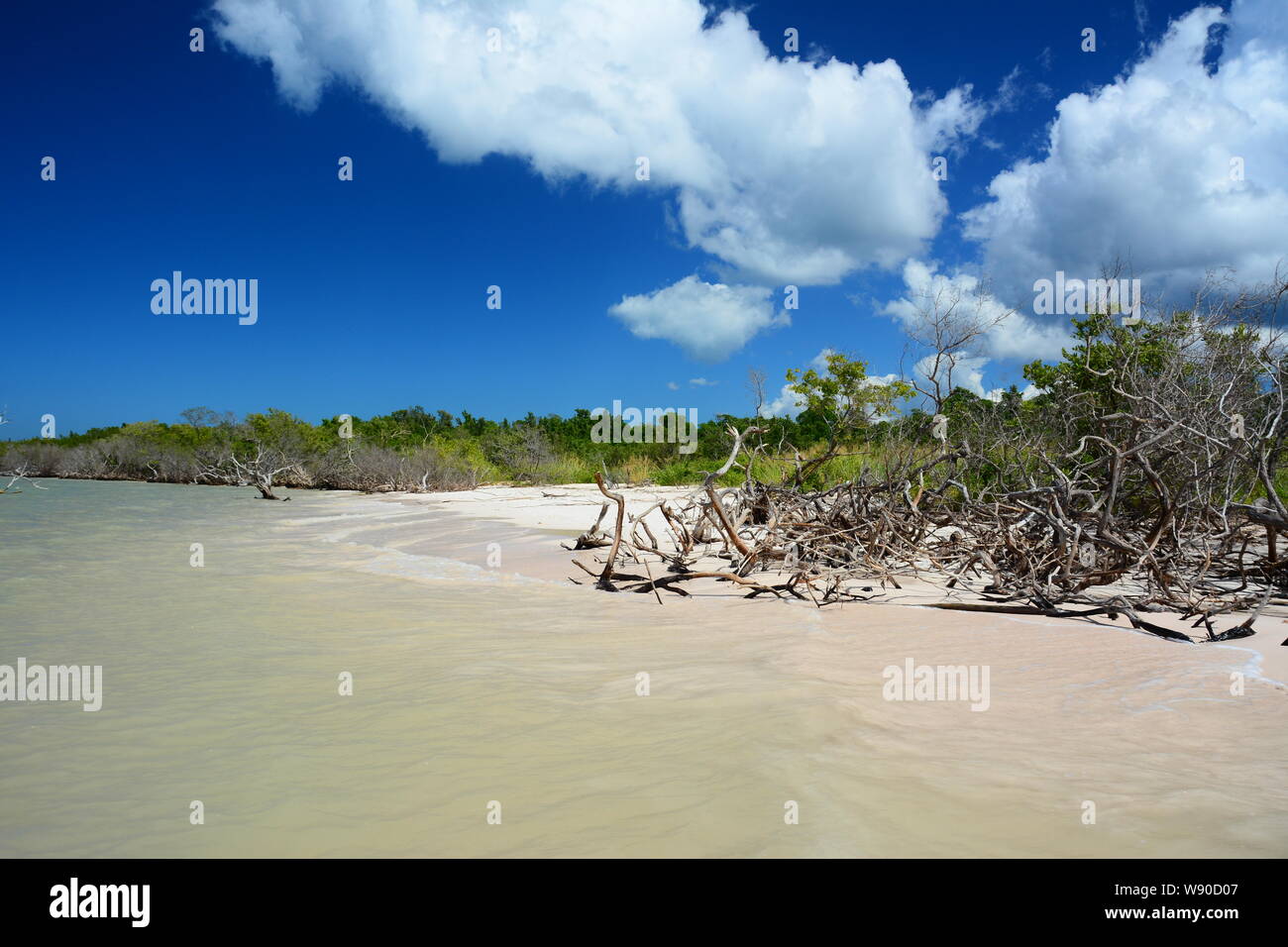 Beach, Cayo Jutías Pinar del Río province, Stock Photo