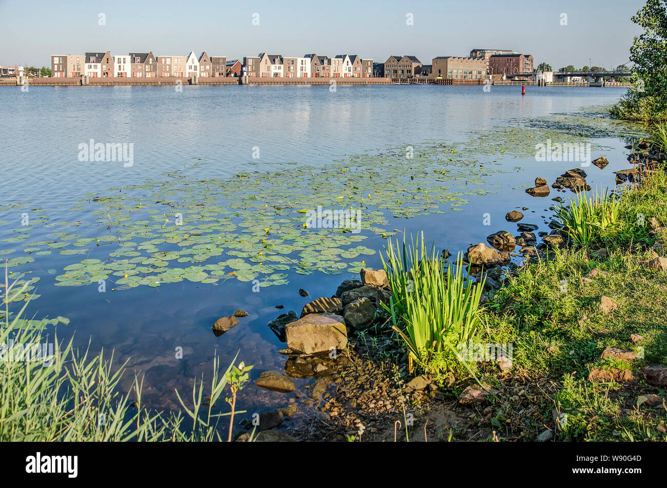 Zwolle, The Netherlands, July 30, 2019: view from the bank of the river Zwarte Water with grass, rocks and water lilies towards the new Stadshagen dis Stock Photo