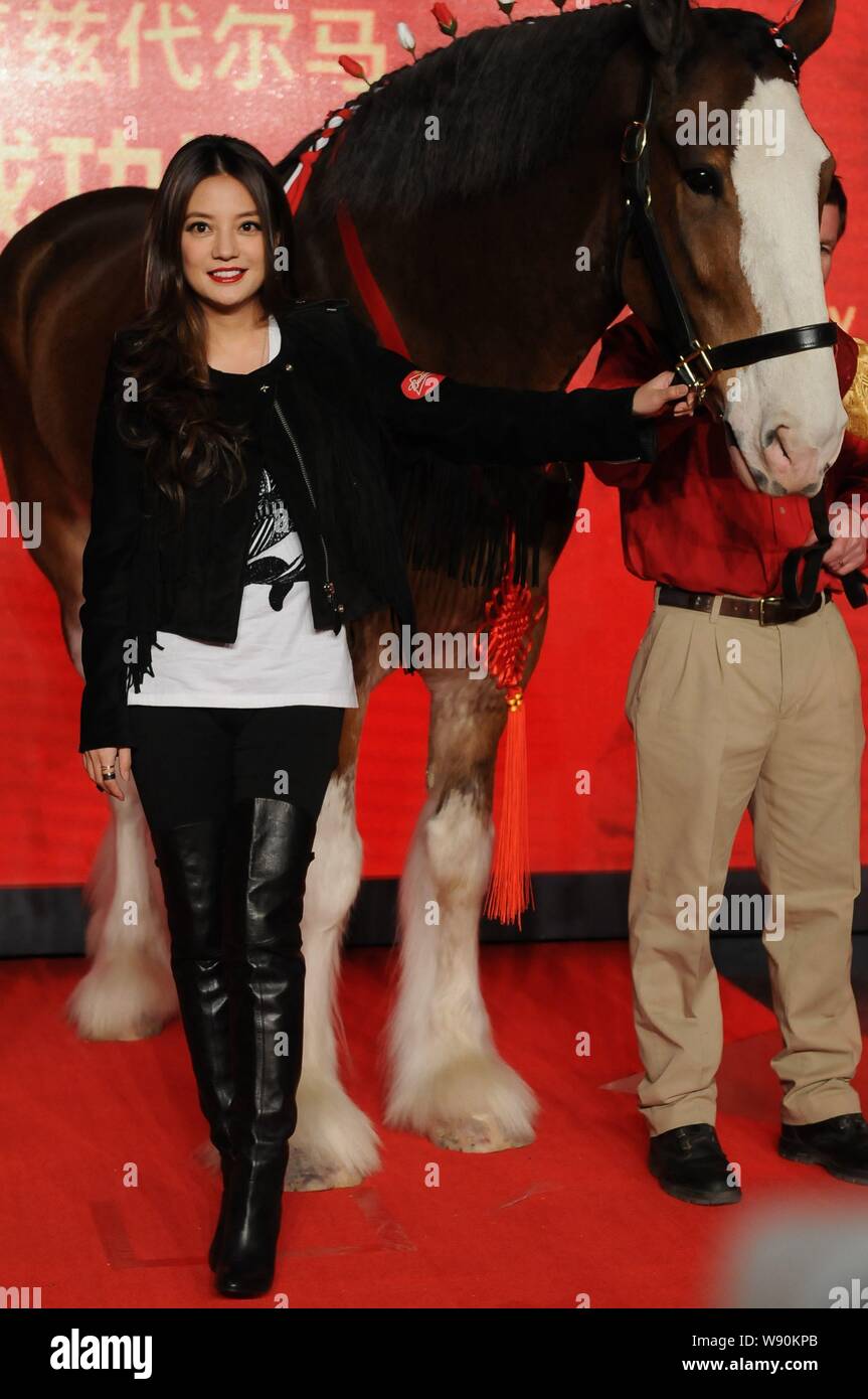 Budweiser Clydesdale Horse Stock Photos Budweiser - 