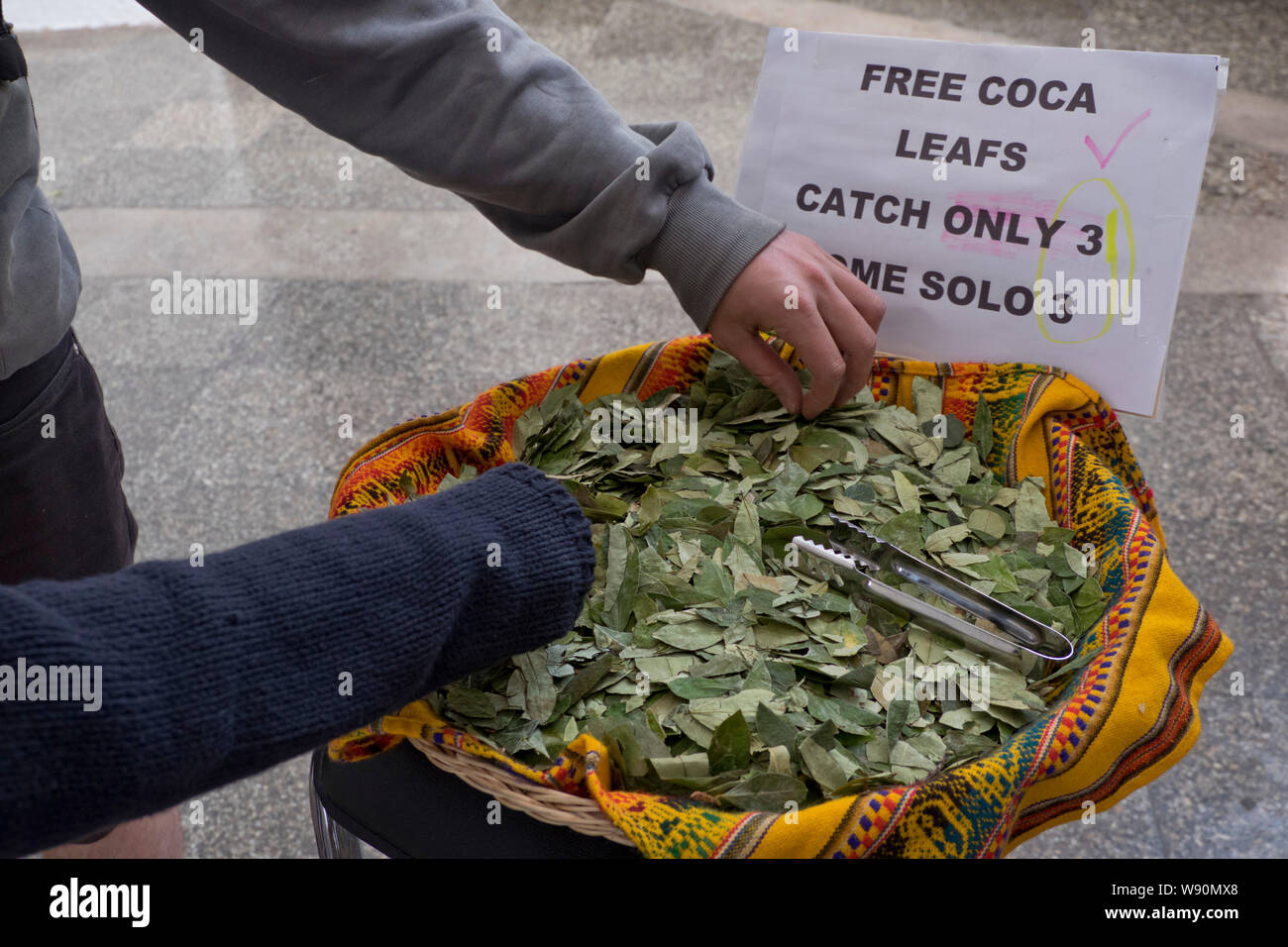 Coca leaves offered to passengers to combat the effects of altitude at