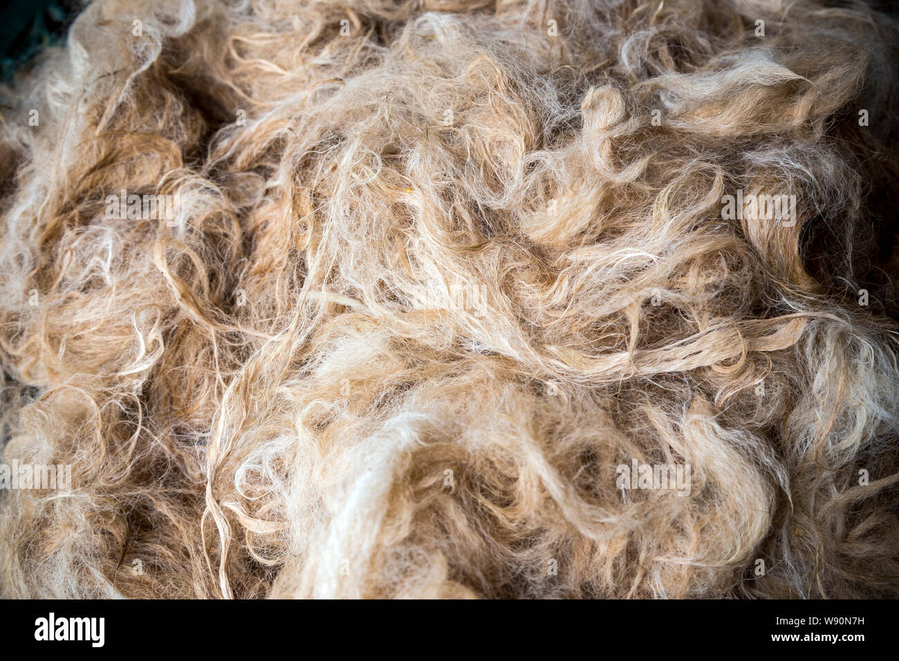 Alpaca wool, Wool, Close-up, Knitting, Abstract, Animal Markings, Art And Craft, Arts Culture and Entertainment, Backdrop - Artificial Scene, Stock Photo
