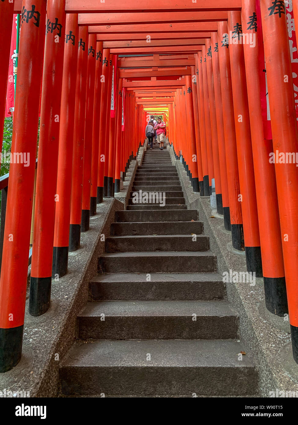 People walking down steps in a tunnel of red wooden Torii Gates at the ...