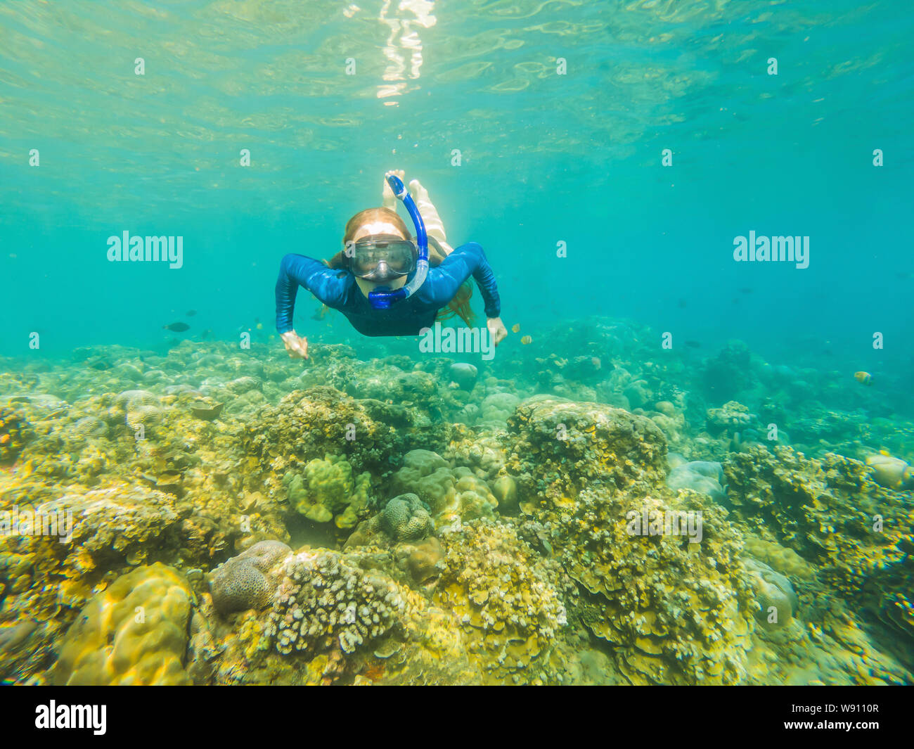 Woman Snorkeling In Bahamas High Resolution Stock Photography and ...