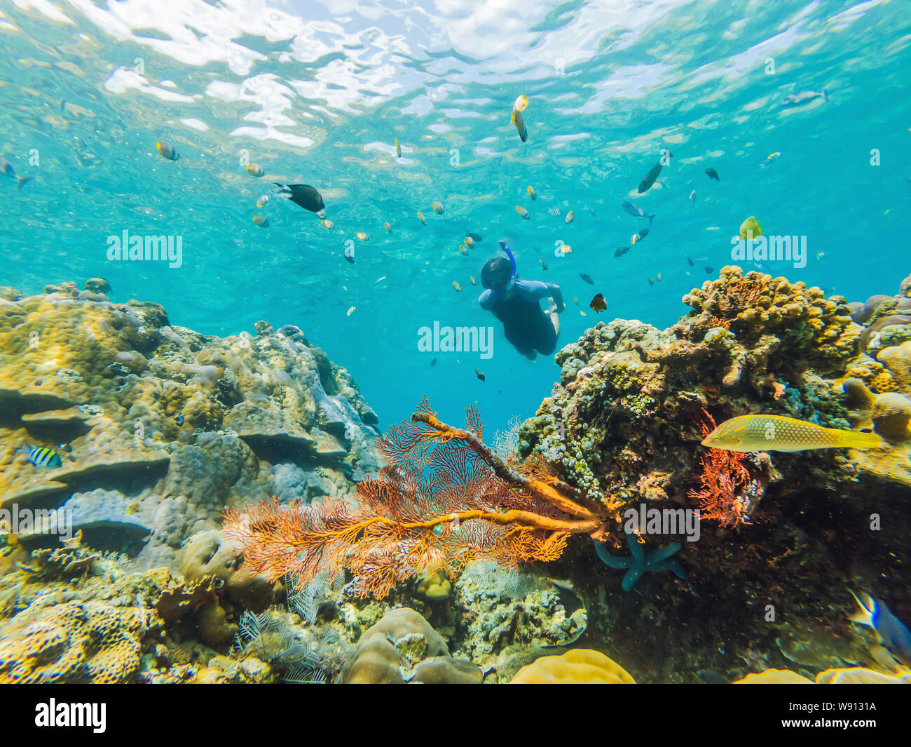 Happy man in snorkeling mask dive underwater with tropical fishes in coral reef sea pool. Travel lifestyle, water sport outdoor adventure, swimming Stock Photo