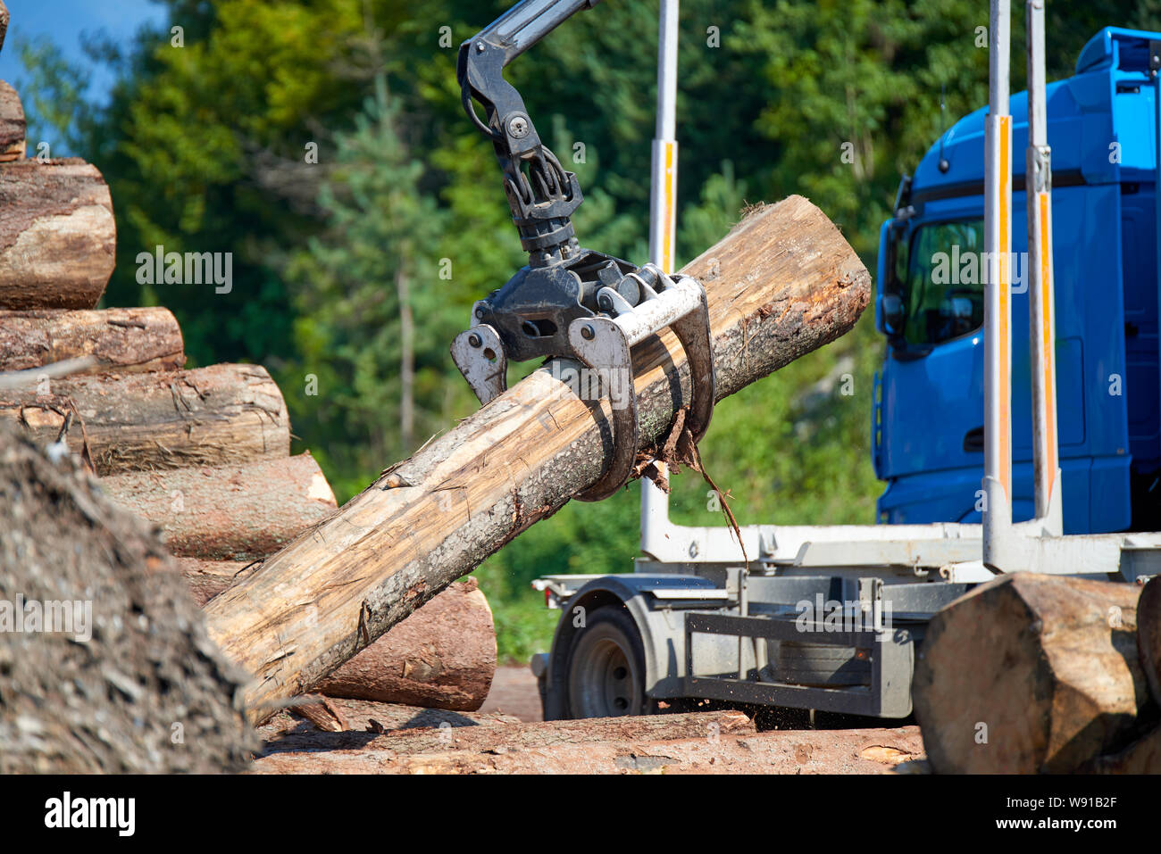 Heavy lifting crane loading cut wooden logs Stock Photo Alamy