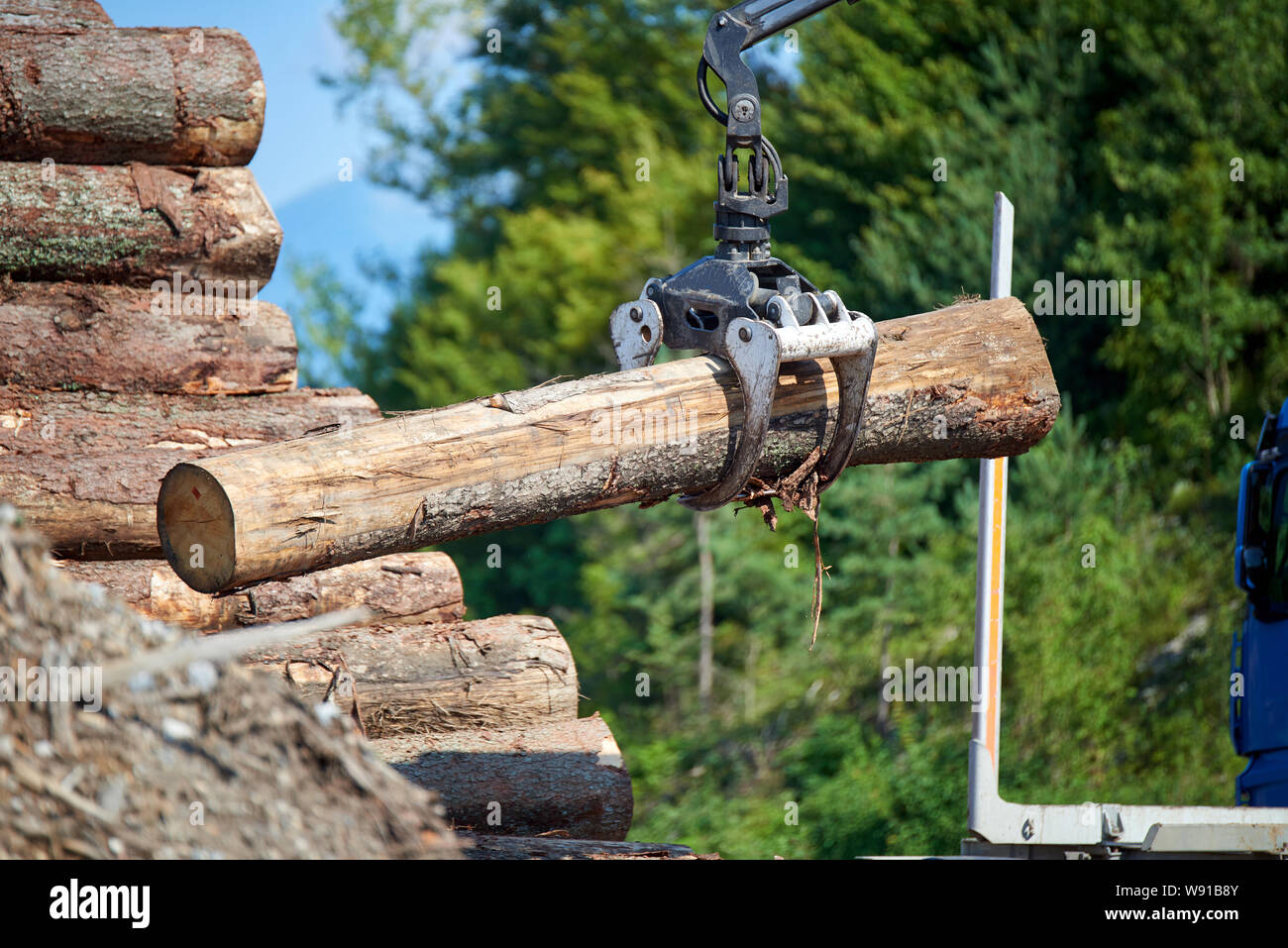 Heavy lifting crane loading cut wooden logs Stock Photo Alamy