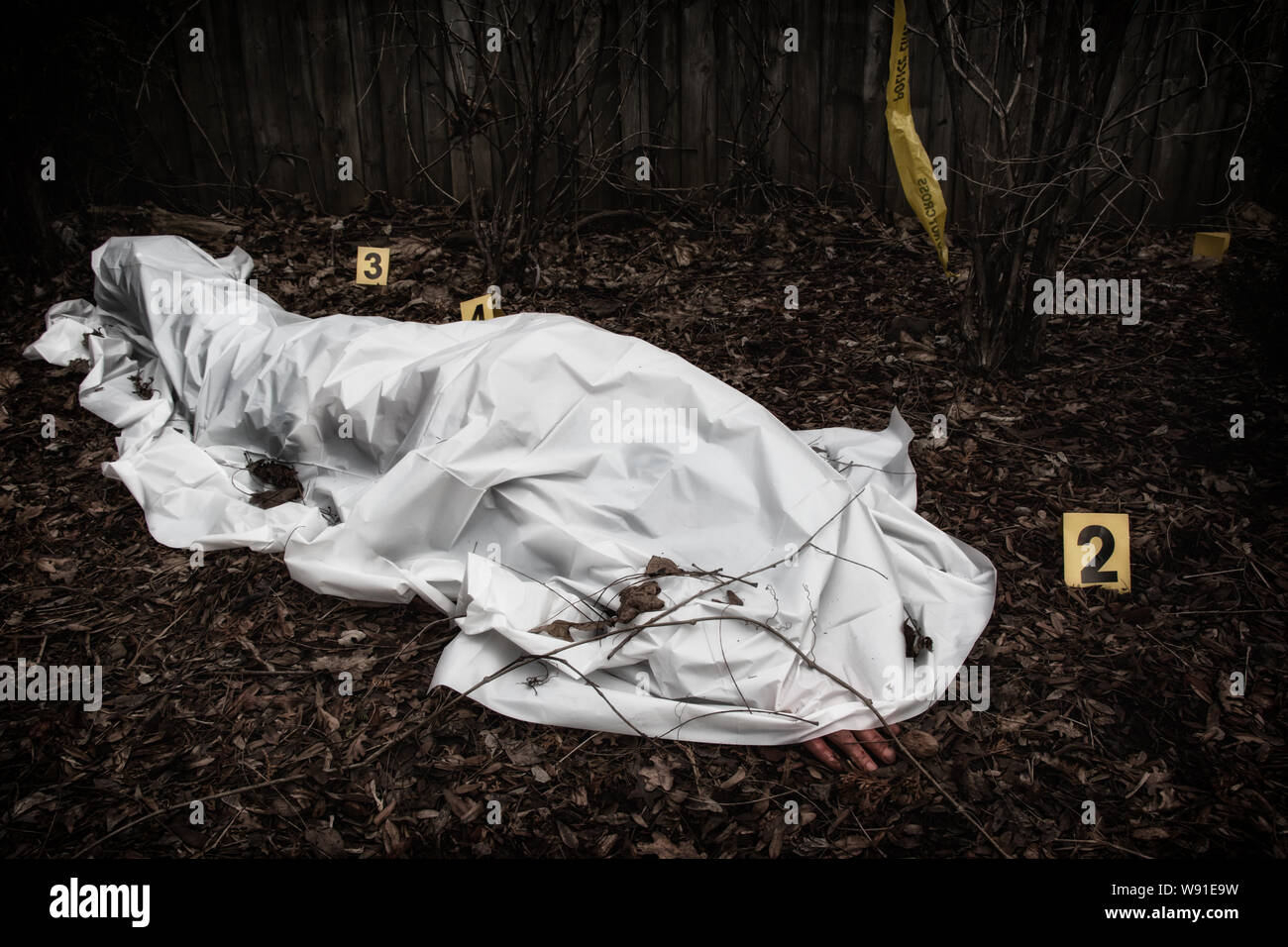 Victim of a violent crime under a sheet in a rural yard. With evidence markers. Stock Photo