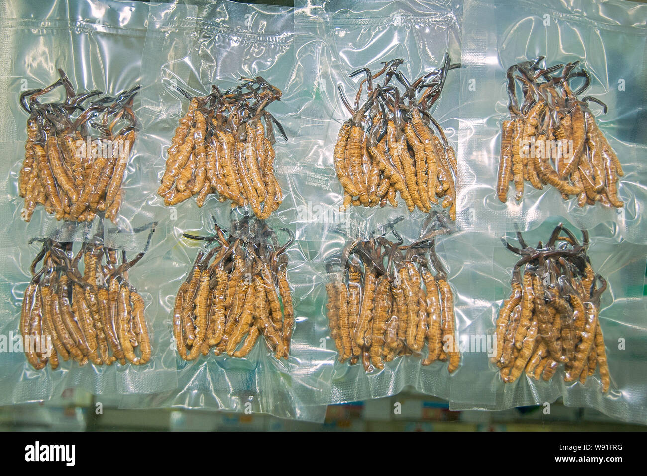 --FILE--Parasitic fungus, Cordyceps sinensis, is for sale at a TCM (traditional Chinese medicine) wholesale market in Shenzhen city, south Chinas guan Stock Photo