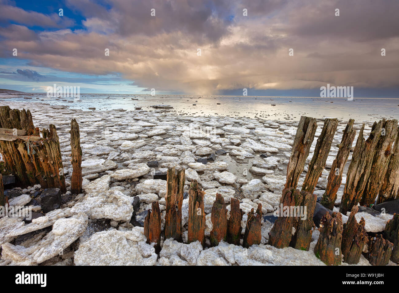 IJsschotsen op de Waddenzee - Shelf ice on the Wadden sea Stock Photo