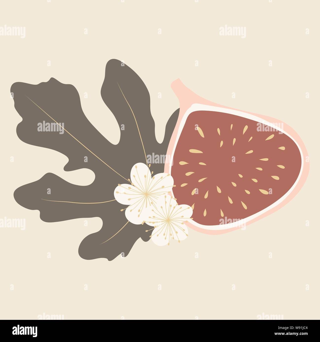 Vector illustation of fig, leaf and flowers in pastel colors Stock