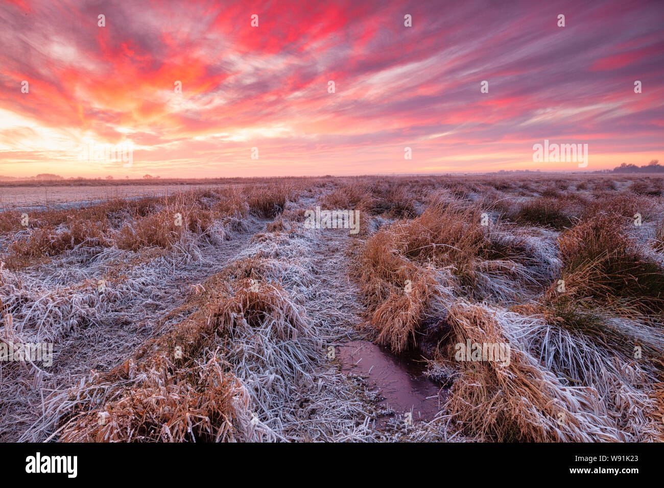a spectacular winter sunset over a field with snow in nature - Winter landscape image - Groningen, The Netherlands Stock Photo