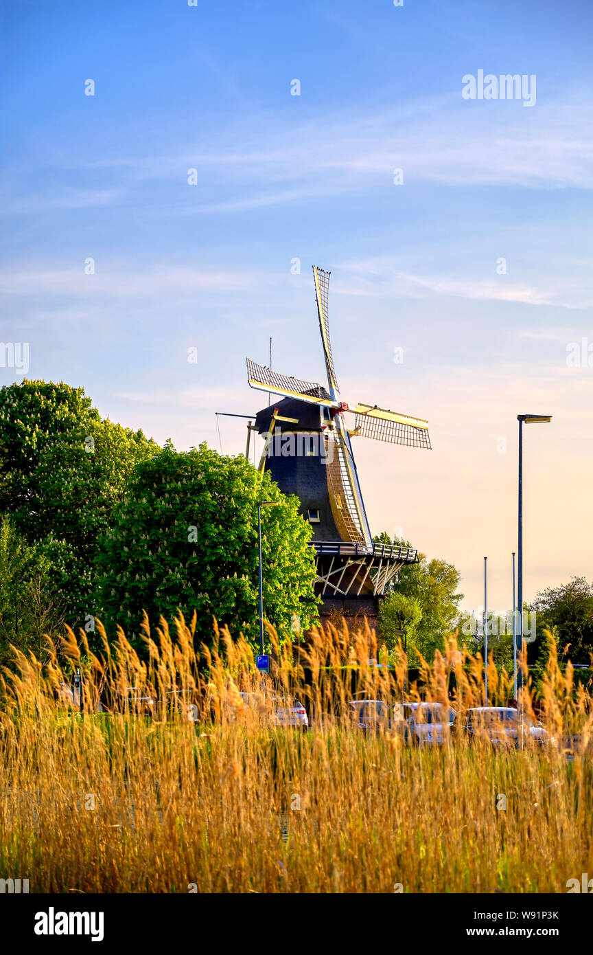 Kralingen rotterdam hi-res stock photography and images - Alamy, image size:864x1390