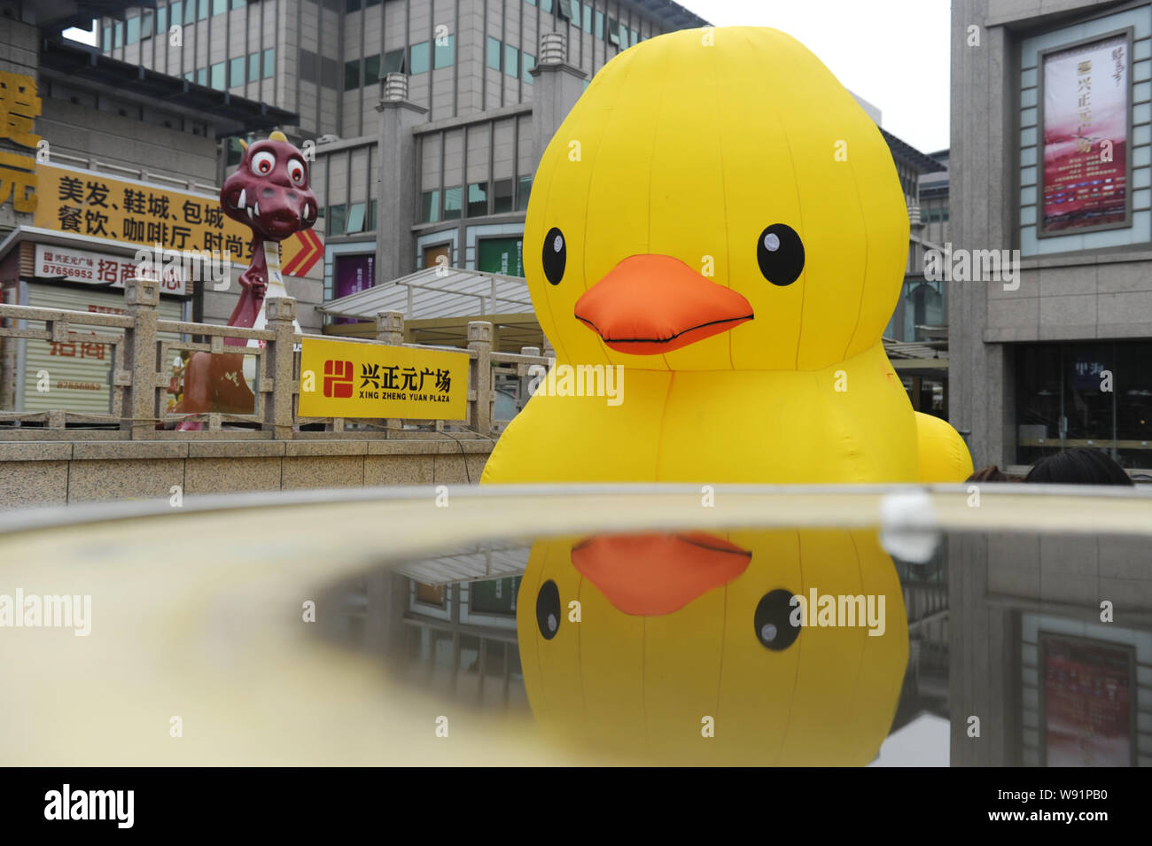View of the mini-copycat rubber duck 