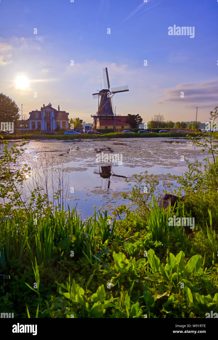 Historic windmills located in Kralingen Lake in Rotterdam, the Netherlands Stock Photo Alamy