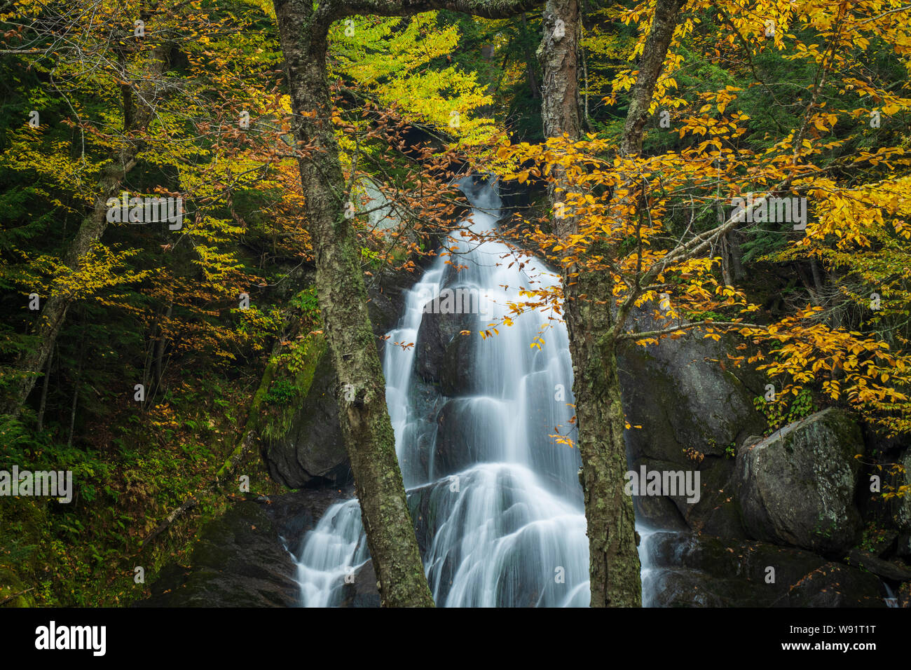 Moss Glen Falls, Green Mountain National Forest, Vermont Stock Photo