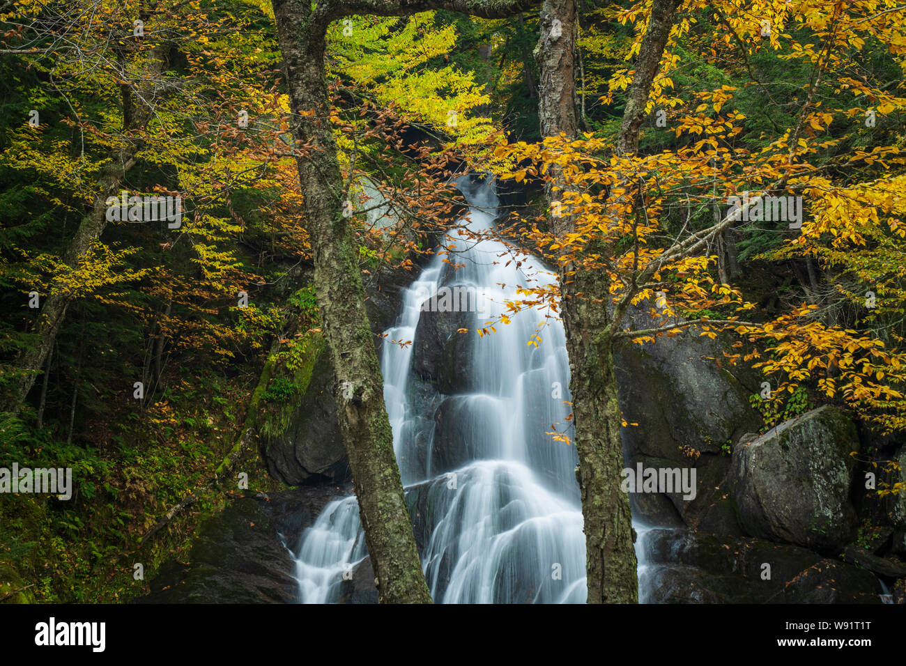 Green Mountain National Forest Vermont Hi res Stock Photography And Green Mountain National Forest Vermont Hi res Stock Photography And