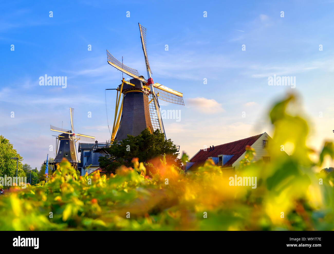 Historic windmills located in Kralingen Lake in Rotterdam, the Netherlands. Stock Photo