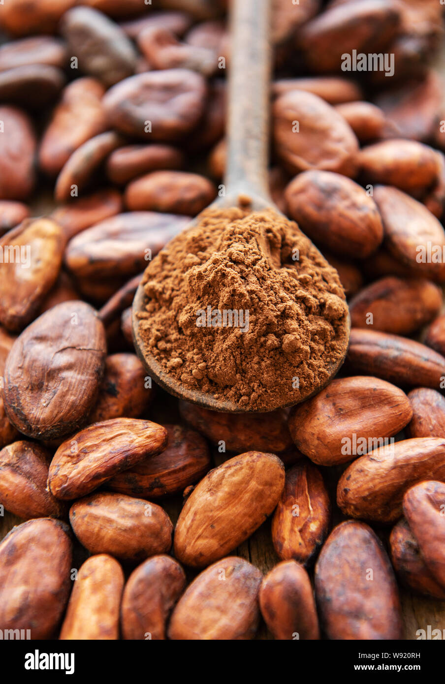 Spoon with Cocoa powder and beans as a natural background Stock Photo ...