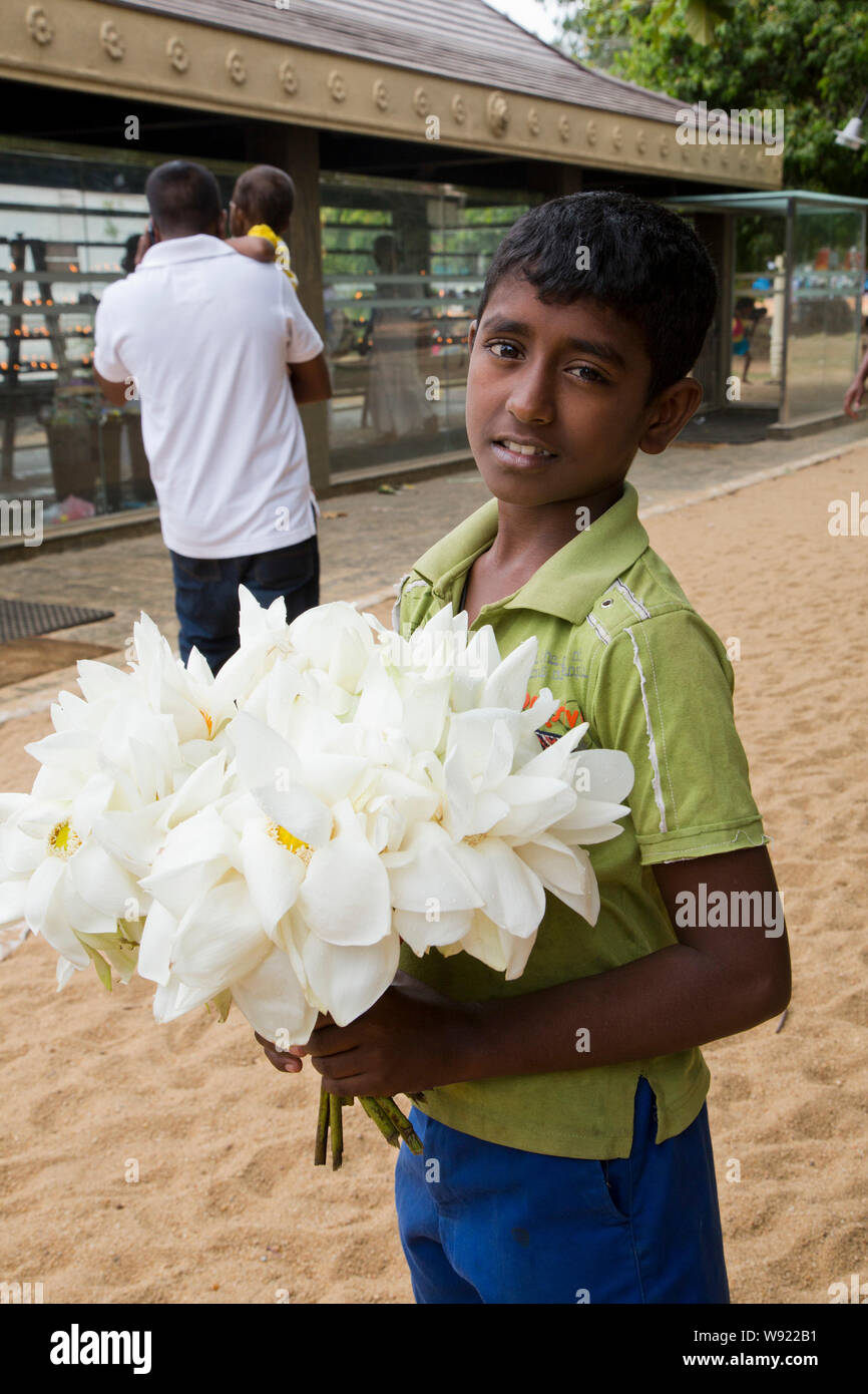 Flowers of sri lanka hi-res stock photography and images - Alamy