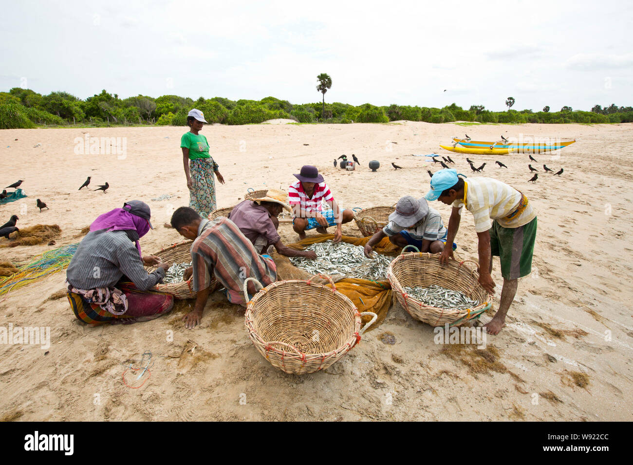 Sri lanka est hi-res stock photography and images - Alamy