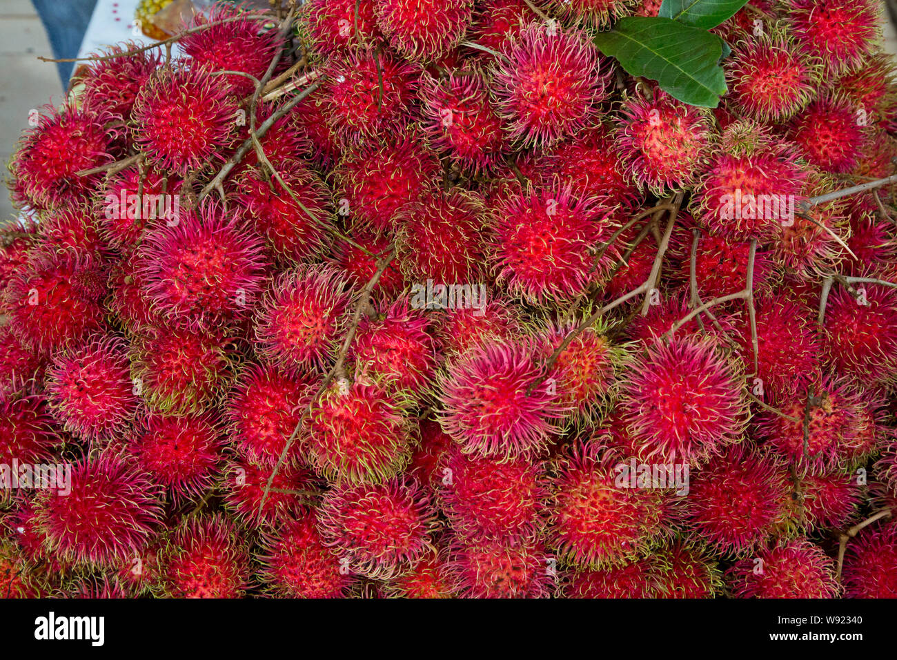 SRI LANKA Stock Photo