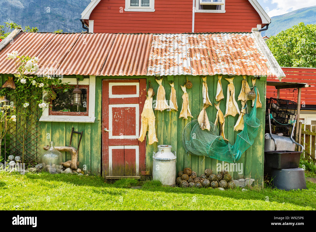 Traditional old green wooden house with stockfish and a fishing net in Aurlandsvangen at the coast of Aurlandsfjord, branche of Sognefjord in Norway Stock Photo