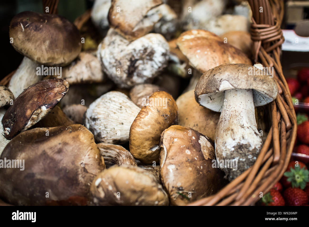 Mushrooms in a basket Stock Photo