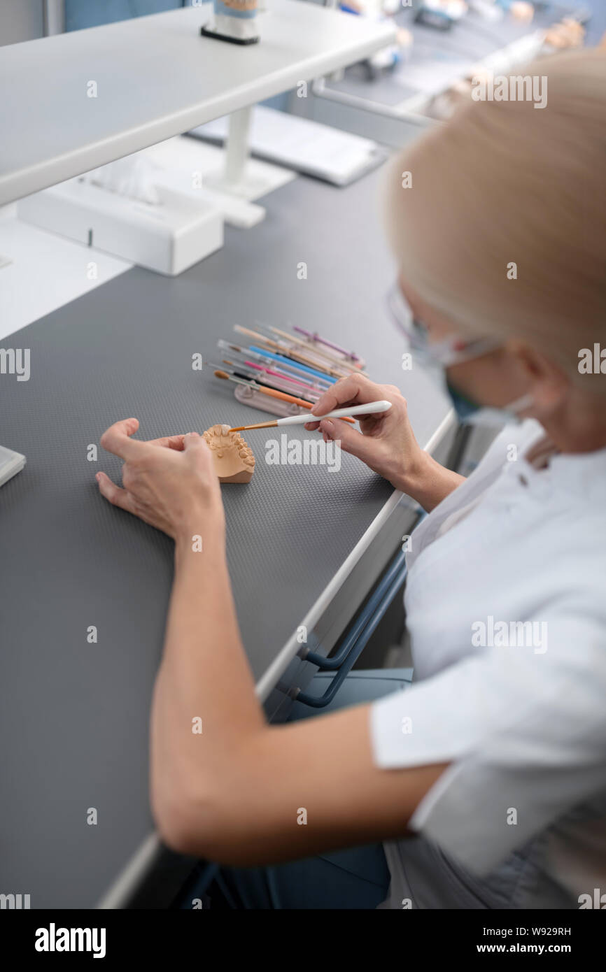 Dentist cleaning artificial teeth with different brushes Stock Photo