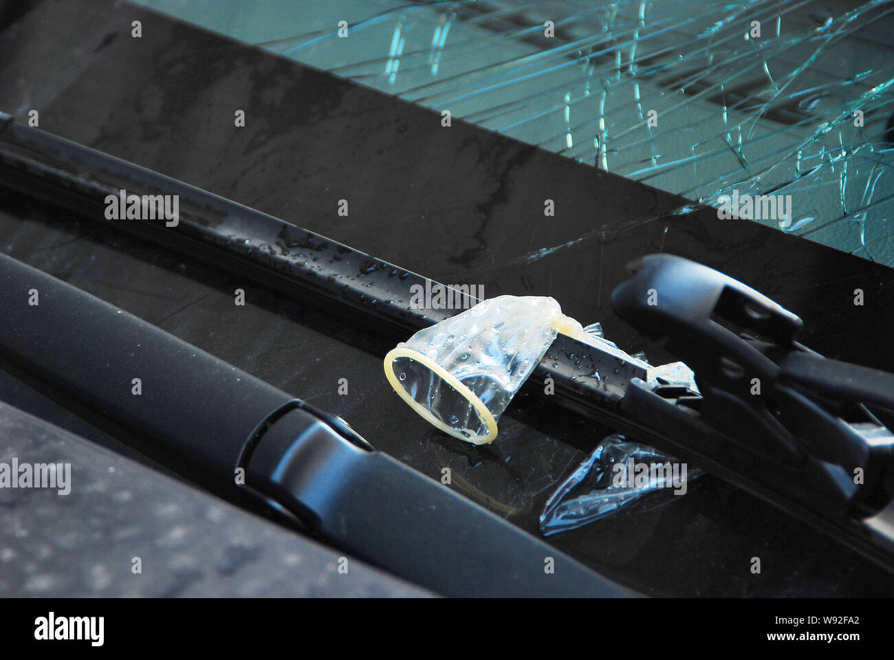 A used condom is seen on the shattered front windshield of a Chevrolet Cruze after it fell from an unknown floor of a high-rise residential apartment Stock Photo