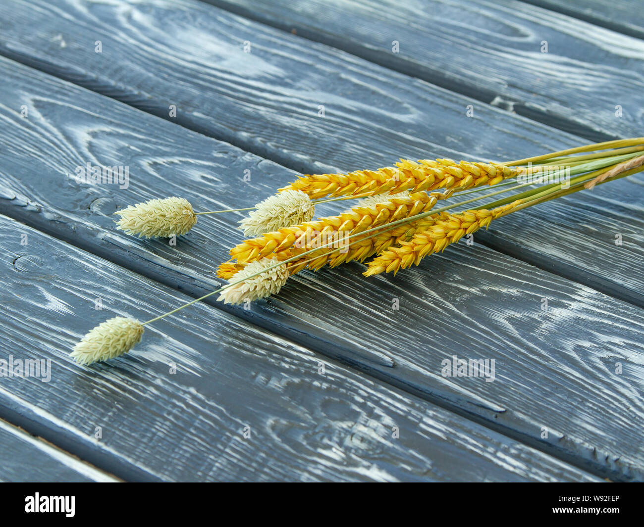 Several stalks of dried cereal plants on a boardwalk. Ears of wheat and phalaris for decorating food photos Stock Photo