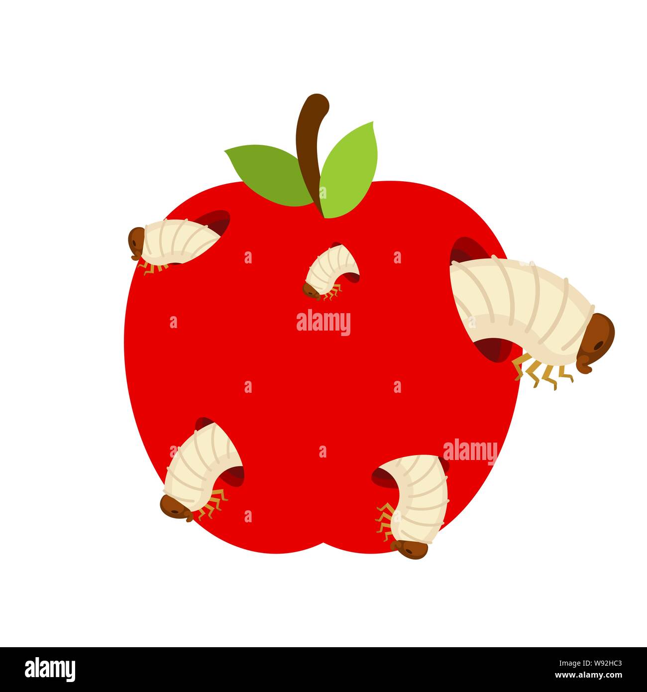 Wormy apple isolated. Fruit and Worms. vector illustration Stock Vector