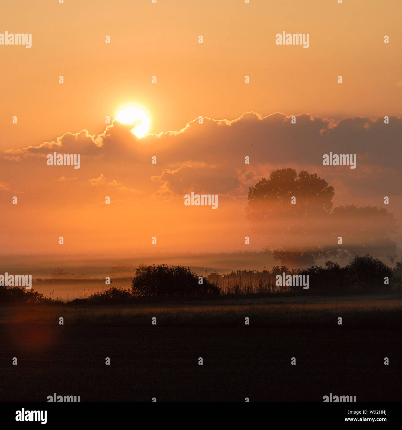 Sunrise above wet meadows and lines of trees and bushes, rural countryside, sun shining on morning mist, morning mood full of atmosphere. Stock Photo