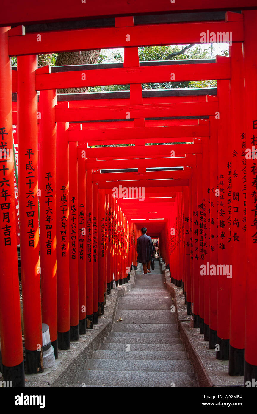 Male person walking down steps in a tunnel of red wooden Torii Gates at ...