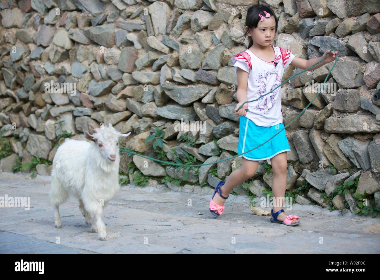 FILE--Cindy Tian Yucheng, the daughter of retired Chinese diver Tian Liang,  walks a goat during the filming session of an episode of the reality TV  Stock Photo - Alamy