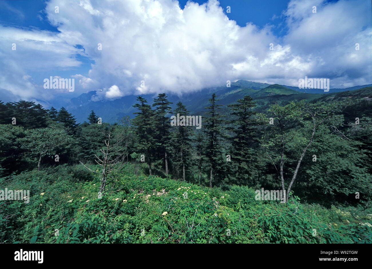 --FILE--Natural scenery in Shennongjia, central Chinas Hubei province, 12 July 2013.   There are natural wonders like tunnels of wind, thunder, lightn Stock Photo