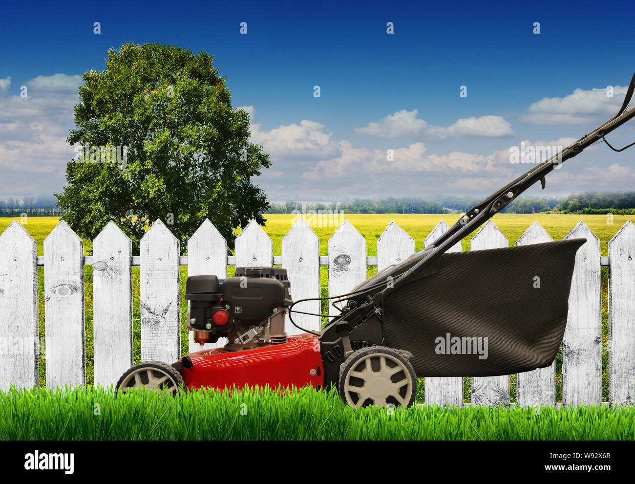 Lawn mower mows lawn. Is isolated. on a white background Stock Photo