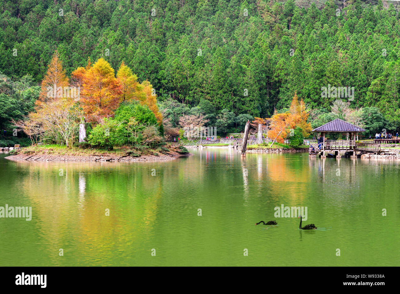 mingchi forest recreation area in yilan, taiwan Stock Photo