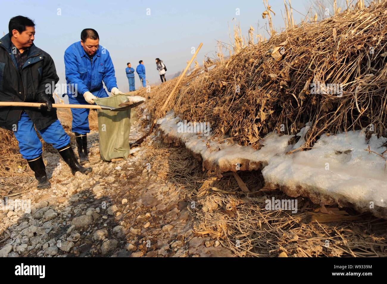 Does China Use Human Waste As Fertilizer