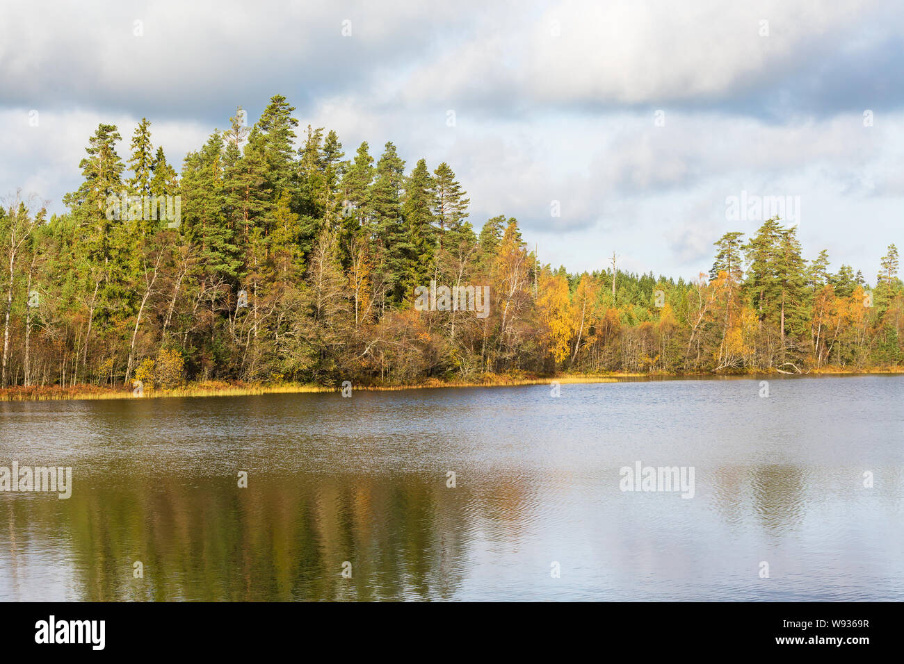 Reflection coniferous forest lake hi-res stock photography and images ...