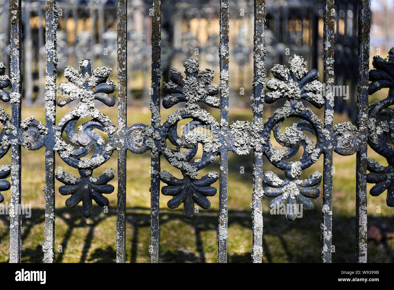 Lichen growing on an old grave fence in Hietakylä cemetery in Hamina, Finland Stock Photo