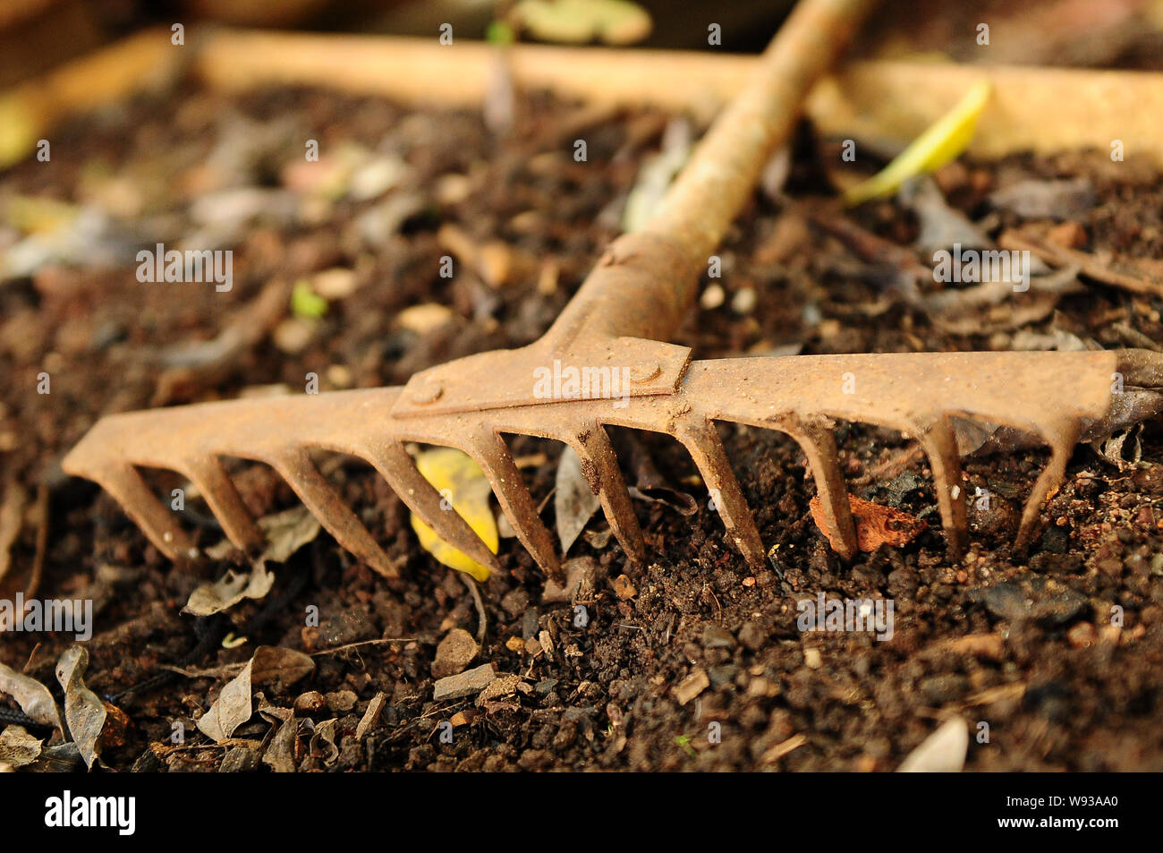 plowing land cultivation, planting, nature Stock Photo