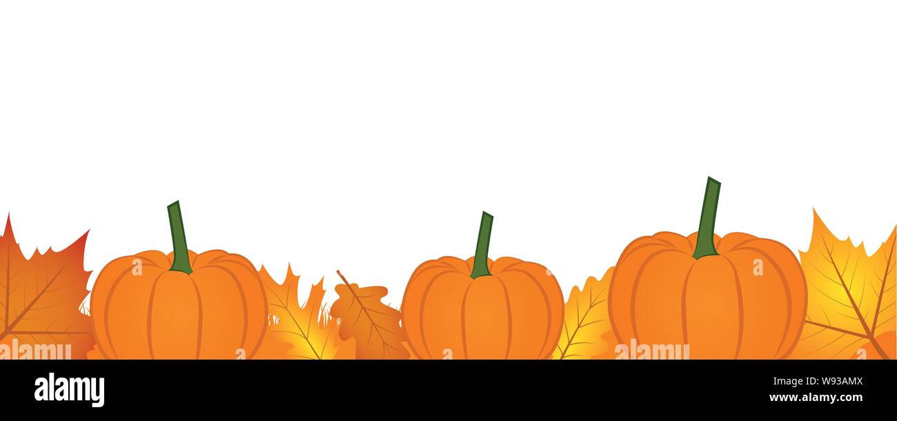 autumn background banner with autumn leaves and pumpkin vector ...