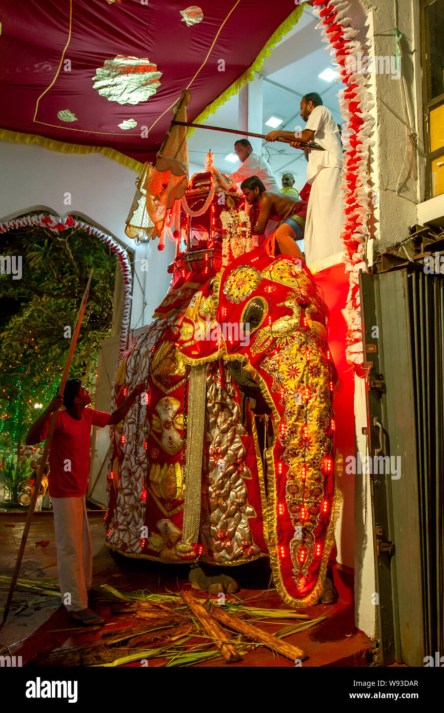 Kandy sri lanka elephant hi-res stock photography and images - Alamy
