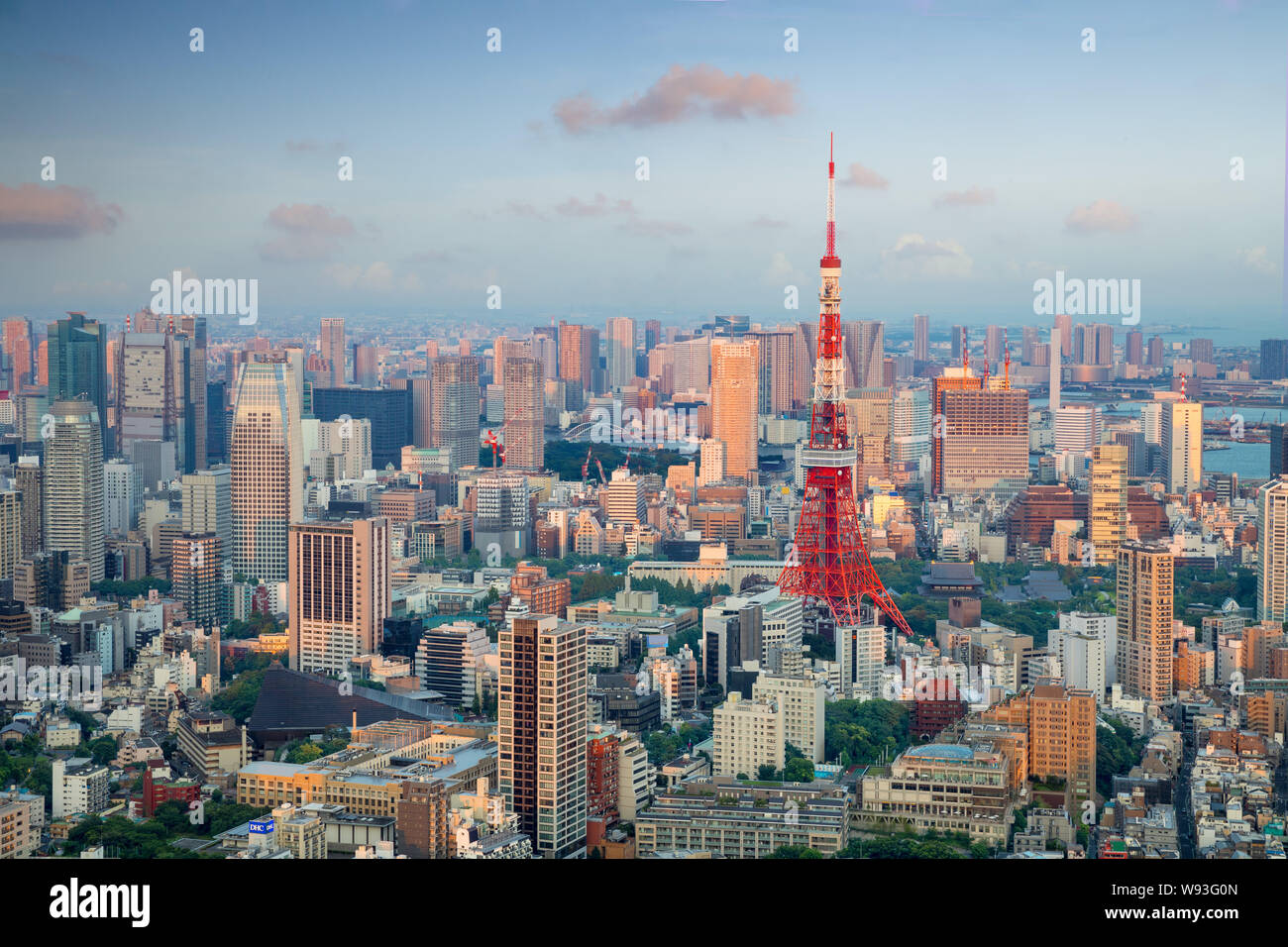 Tokyo city skyline with Tokyo Tower, Tokyo Japan Stock Photo