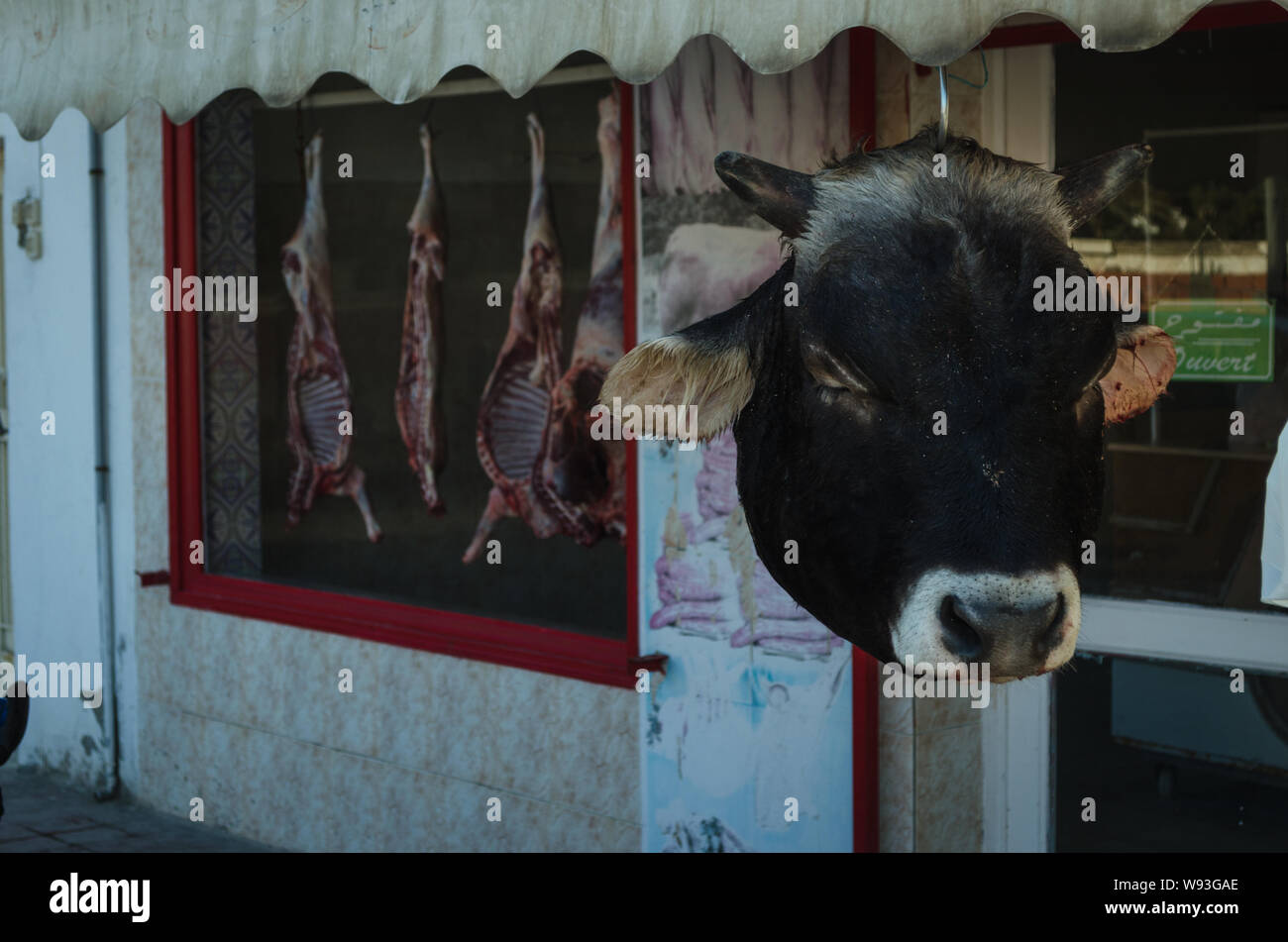 Cow head in butcher shop hires stock photography and images Alamy