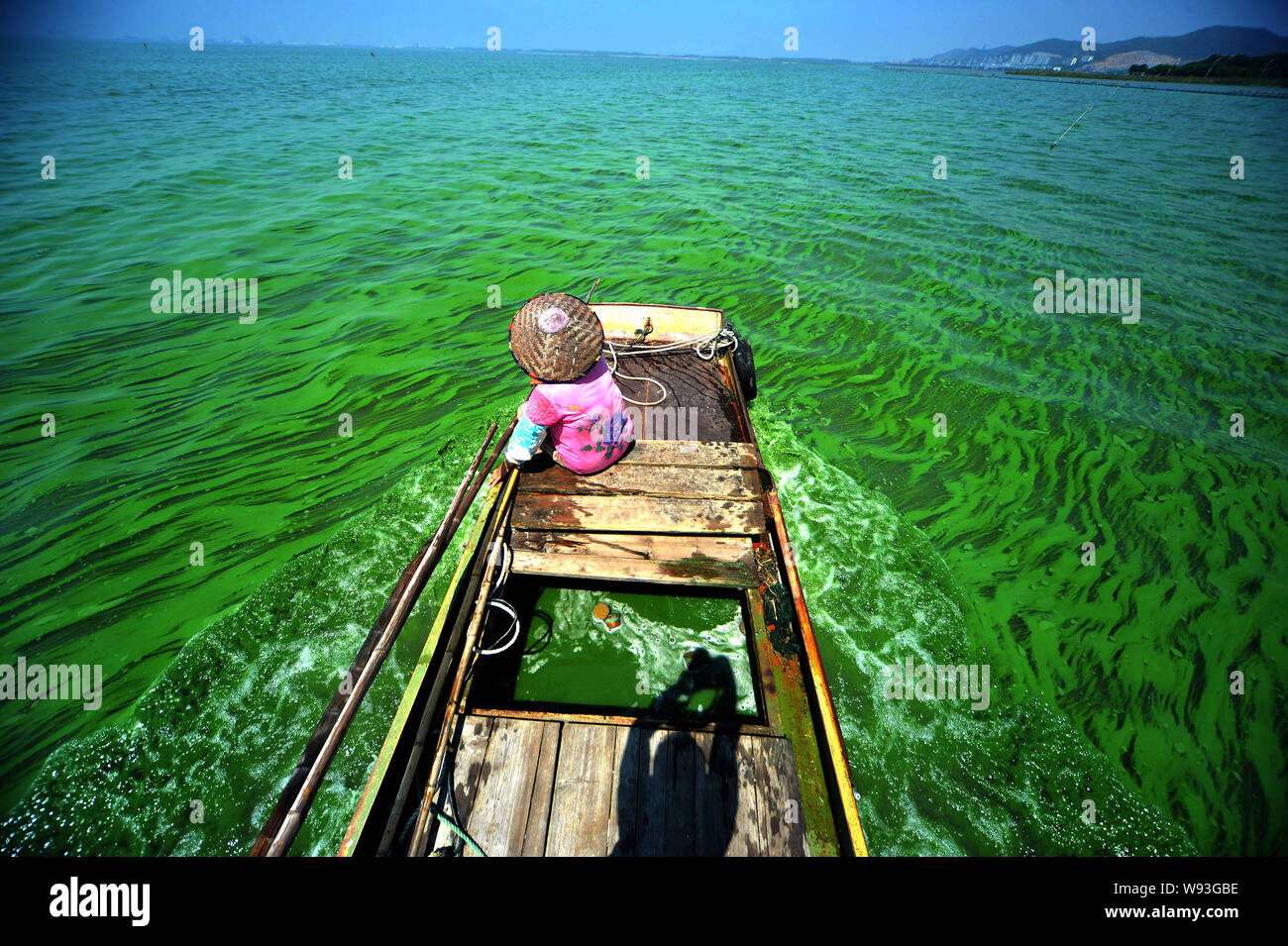 A Chinese worker rests on a boat in the green water of Taihu Lake covered by blue-green algae in Changzhou city, east Chinas Jiangsu province, 17 Augu Stock Photo