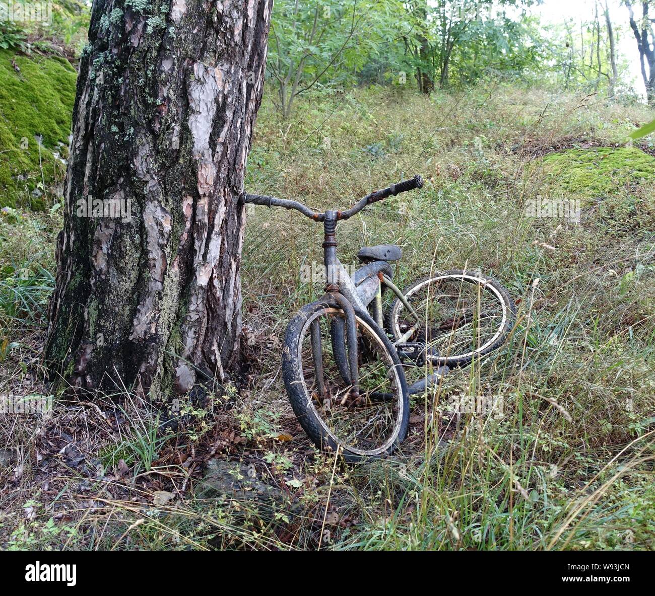 photo of an old bicycle abandoned in the woods Stock Photo